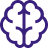 brain_knowledge